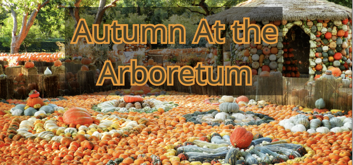 Autumn at the Arboretum, Dallas, Texas