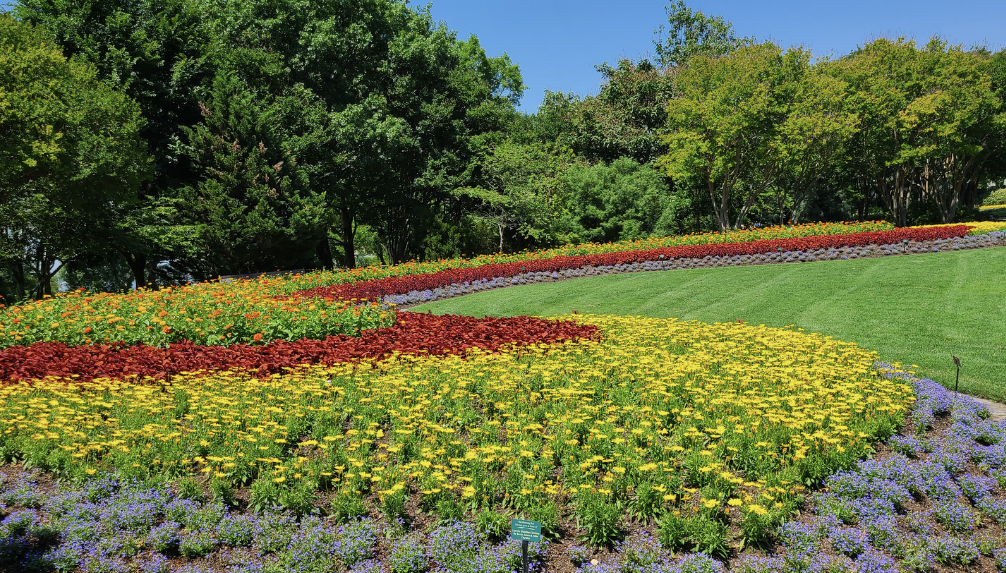 Dallas Arboretum Blooms