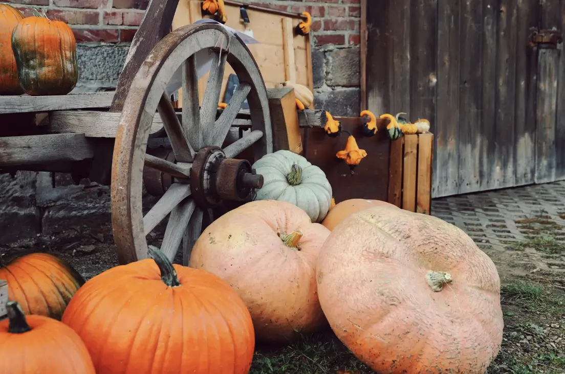Fall Festival Midlothian