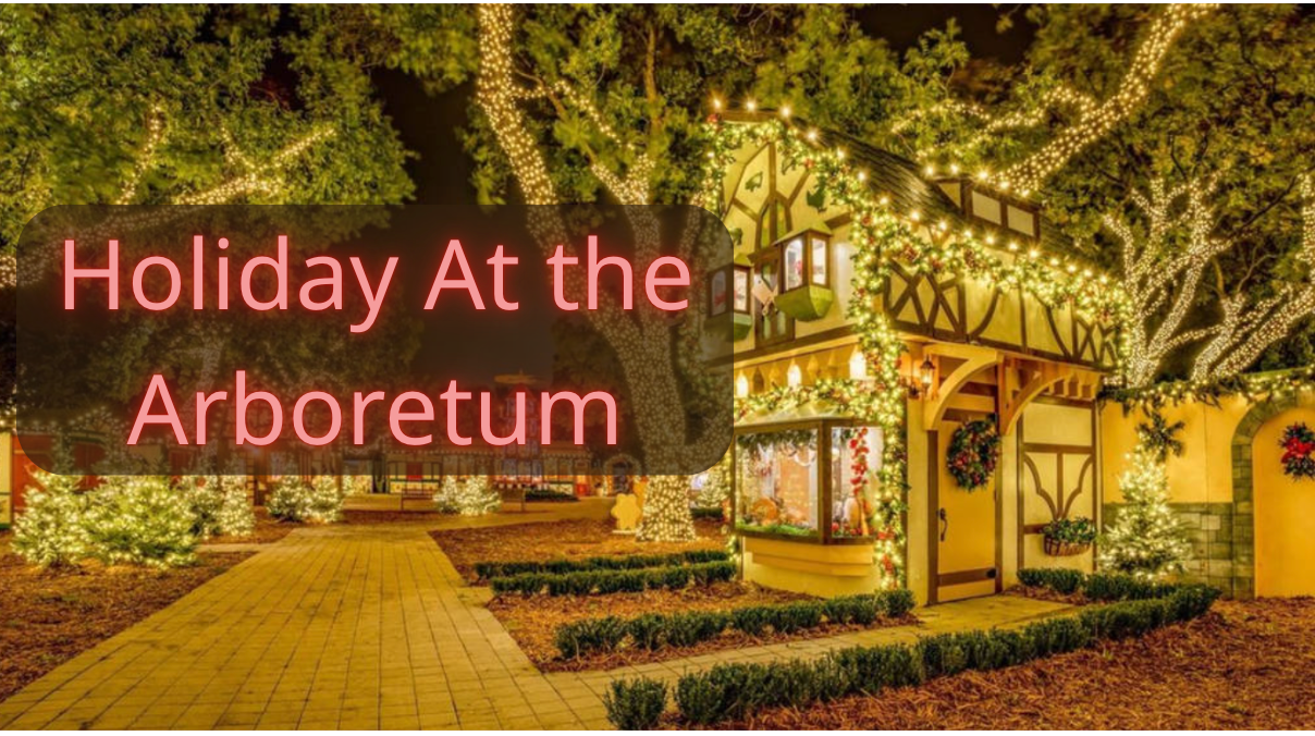 Holiday At The Arboretum