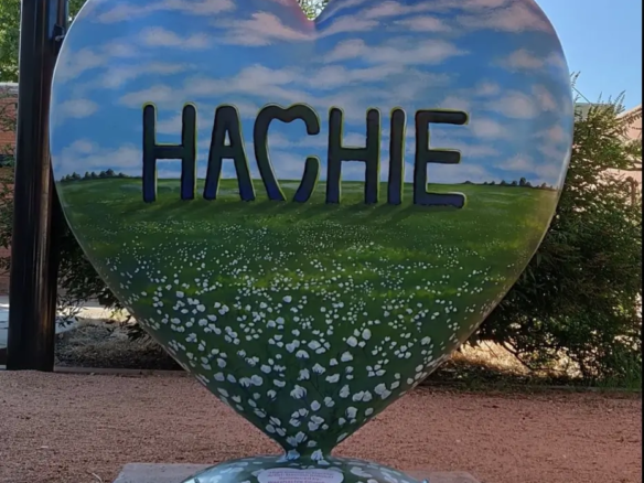 Hachie Heart
