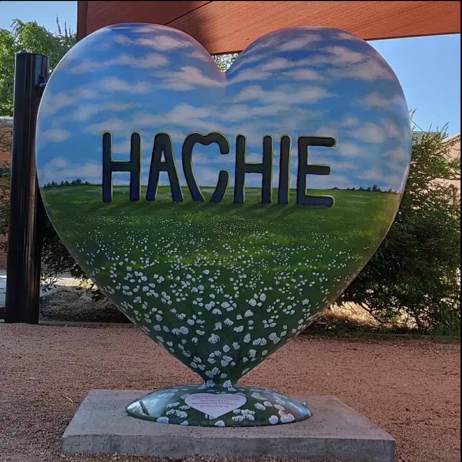 Hachie Heart