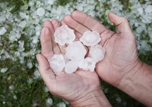 Texas Hail is responsible for major damage and raised insurance premiums