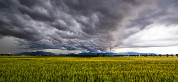The Perfect Real Estate Storm