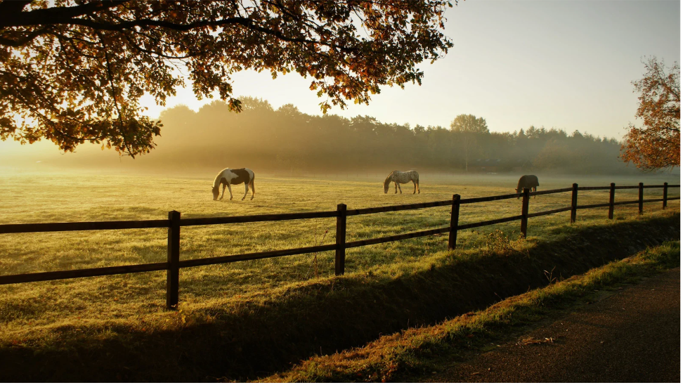 10 to 15 acres is when the real ag exemptions and other benefits of Land coming to play. Learn more with Bobby Franklin the North Texas market insider.