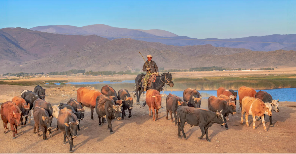 50 to 100 acres is where commercial dreams are made from livestock, hunting, hay and extensive infrastructure. Learn more with Bobby Franklin the North Texas market insider.