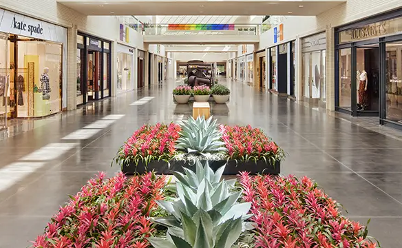 Northpark mall interior photo. Why Northpark is the dominant mall in Dallas Fort Worth