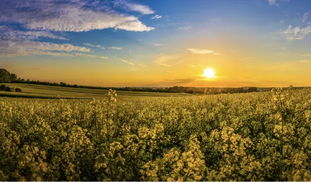 rural land in north texas with Bobby Franklin, the North Texas market