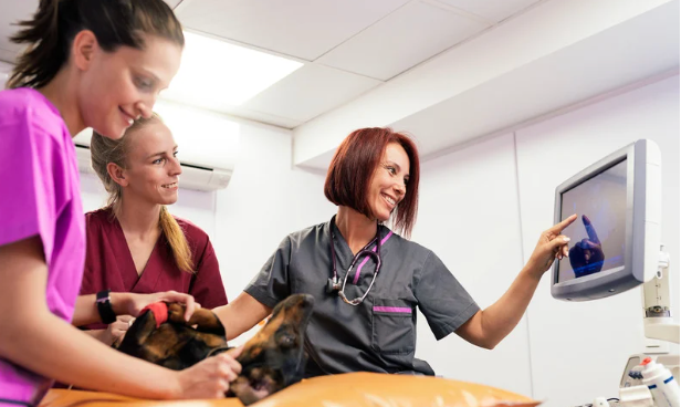 The national FFA organization has greatly expanded It's reach with students. Learn more with Bobby Franklin the North Texas market