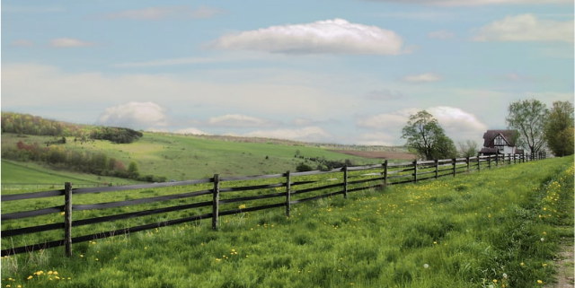Environmental regulations can have a big impact on your land purchase, learn more with Bobby Franklin, the North Texas market insider