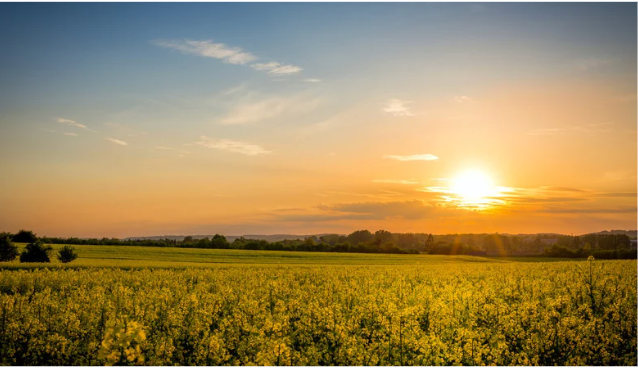 rural land in north texas with Bobby Franklin, the North Texas market